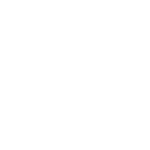 Pet Transportation Icon