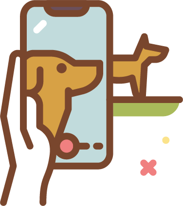 Quality Comfort Icon