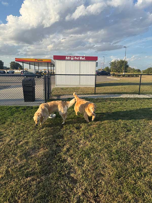 Woof Wagon Pet Transportation 004