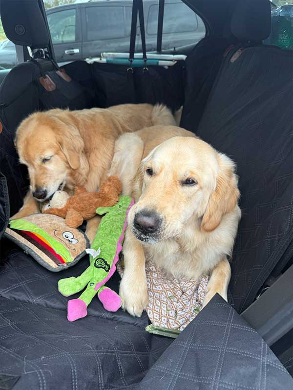 Woof Wagon Pet Transportation 024