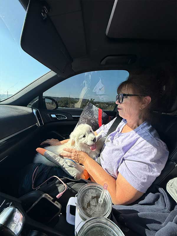 Woof Wagon Pet Transportation 030